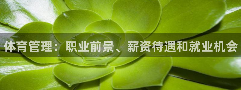 必一体育运动app：
