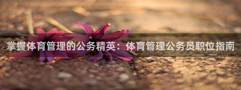 必一体育官方下载入口