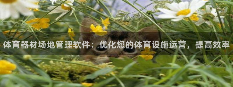 必一体育官网网站：体