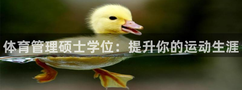 必一运动bsport