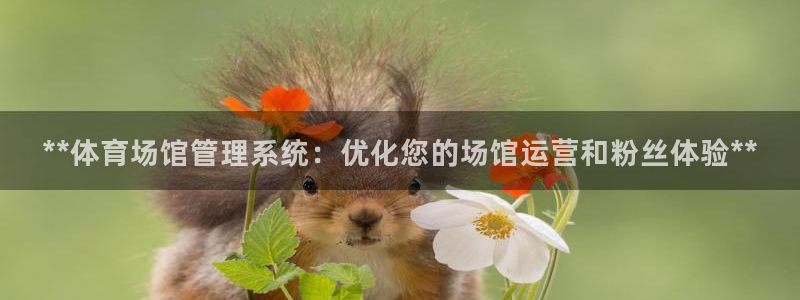 必一体育app官方下