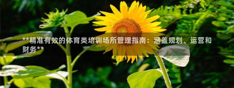 Bsport体育必一