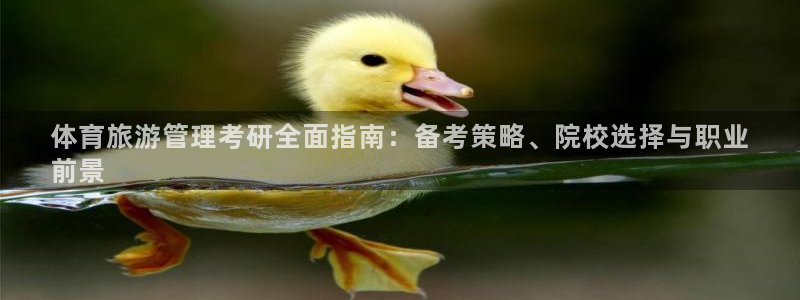 必一体育网页版登录：