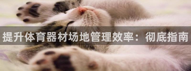 必一体育在线入口：提