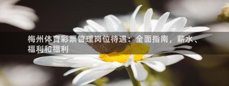 必一运动听的歌：梅州