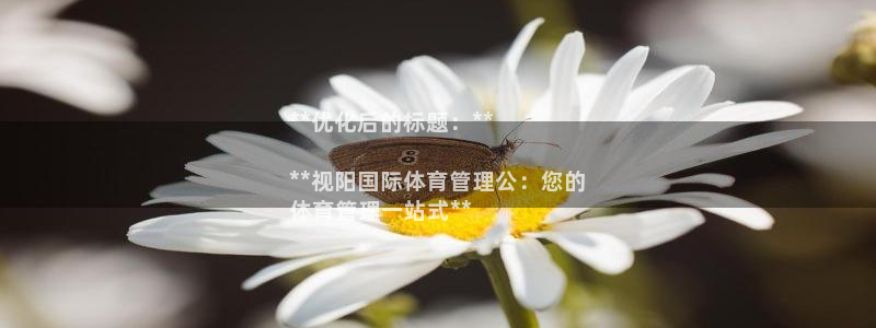 必一体育官方网站入口