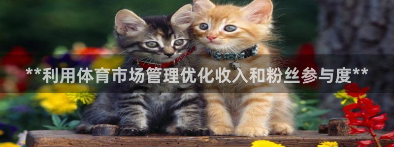 必一体育黑平台：**