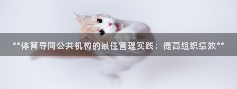 必一体育运动app下