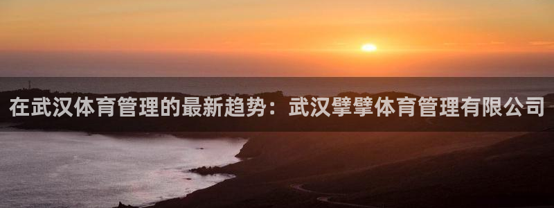 必一体育sportB