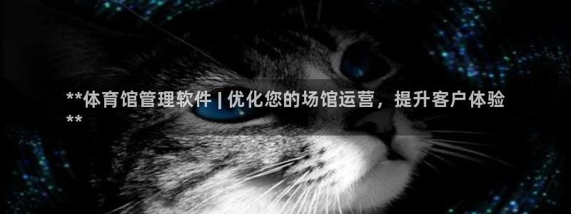 Bsport体育必一