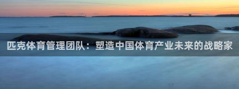 必一体育在线登录：匹
