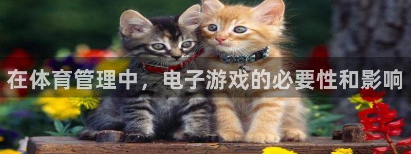 必一运动官网入口：在体育管理中，电子游戏的必要性和影响