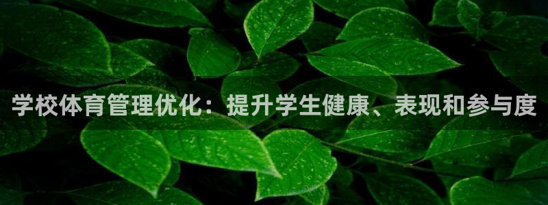 必一体育下载移动版：