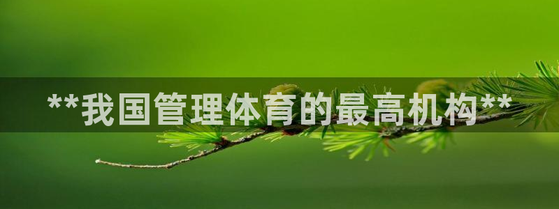 必一体育官方入口：*