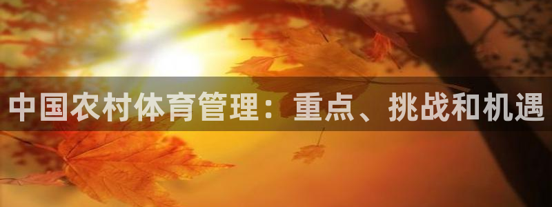 必一体育是啥：中国农