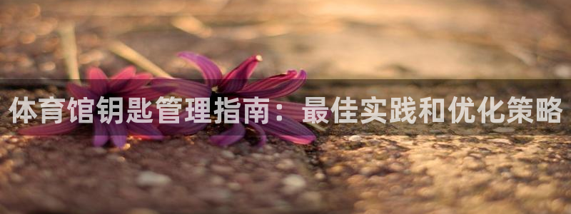 b体育必一下载：体育馆钥匙管理指南：最佳实践和优化策略