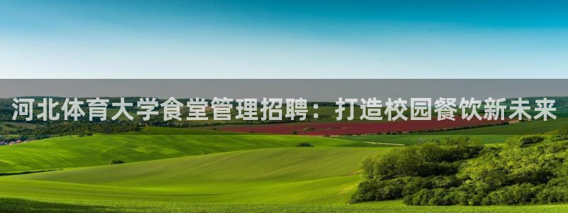 b体育必一运动网页版
