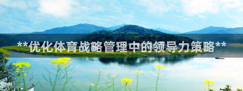 必一体育电子app：