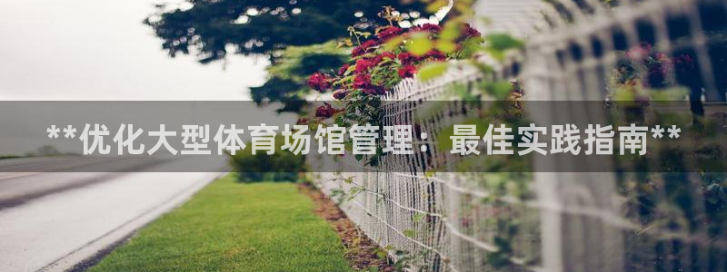必一体育app下载最