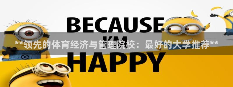 必一体育运动下载：*