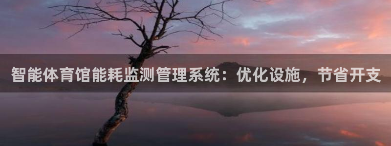 必一体育下载：智能体