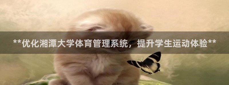 必一体育官方app下