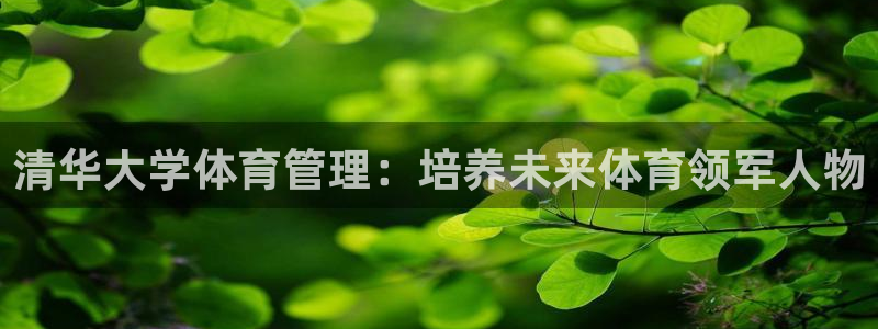 必一体育网页：清华大