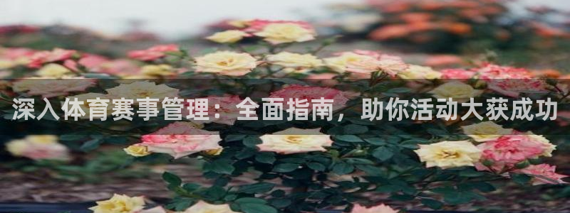 必一体育官网网址：深