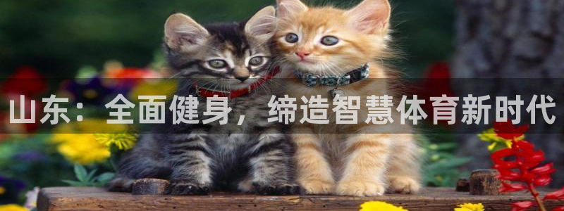 Bsport体育必一：山东：全面健身，缔造智慧体育新时代