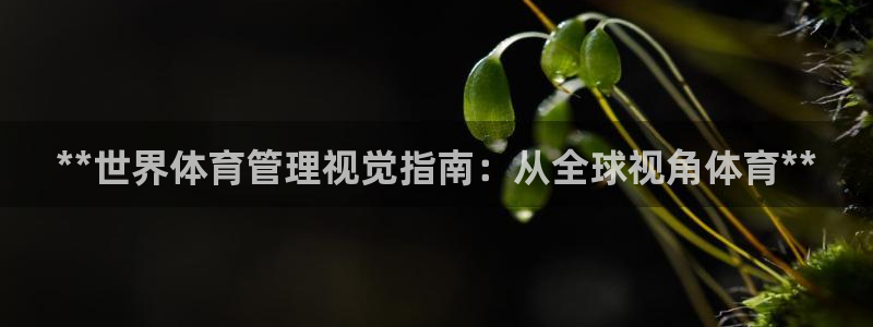必一体育下载登入：*