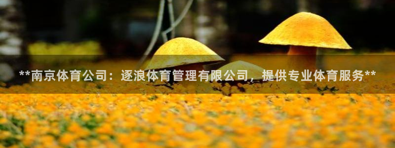 必一体育可靠吗：**