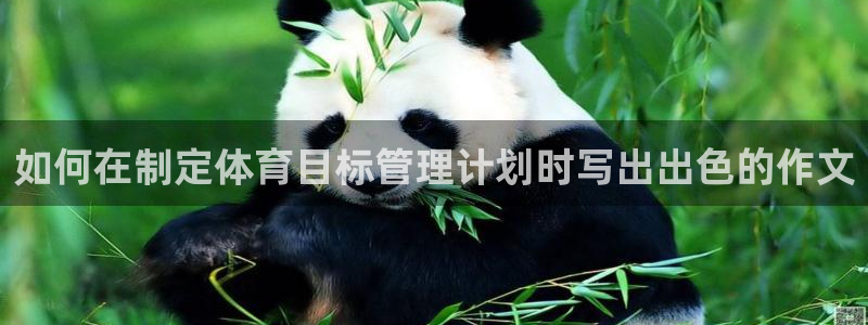 必一体育sportB体育：如何在制定体育目标管理计划时写出出
