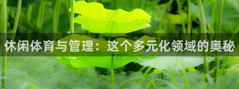 必一体育app下载：