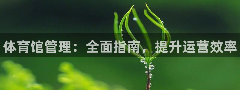 必一体育在线入口：体