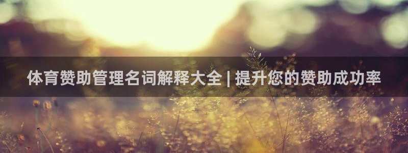 必一体育运动app下
