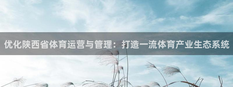 必一体育皮尔斯：优化