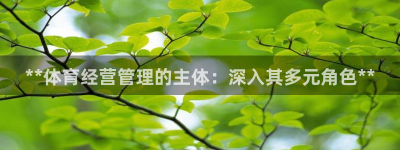 必一体育运动app下
