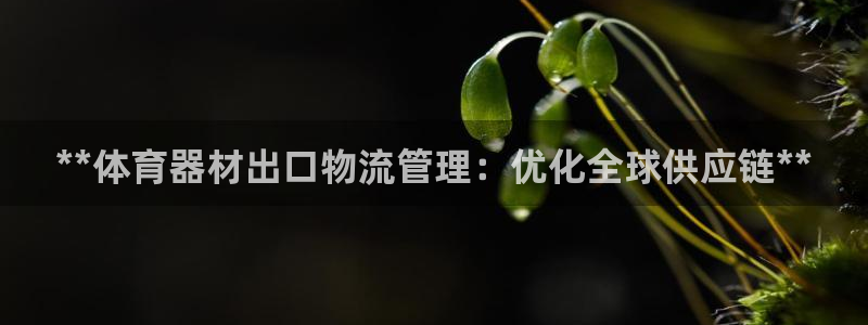 必一运动bsport