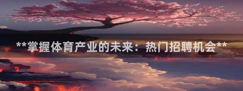 必一体育运动app下