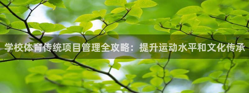 必一体育app下载：