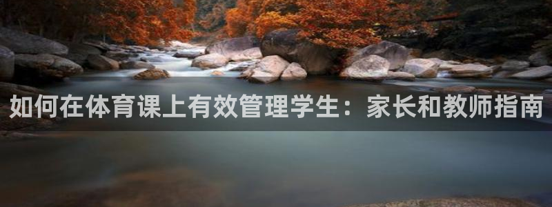 必一体育app下载装