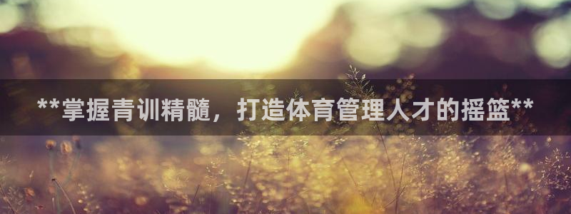 必一体育服下载最新版