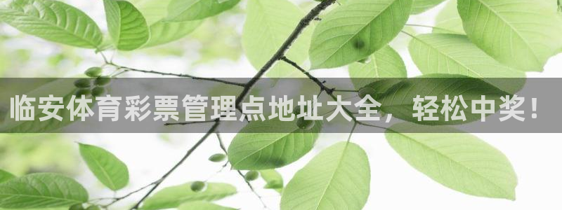 必一体育sport：