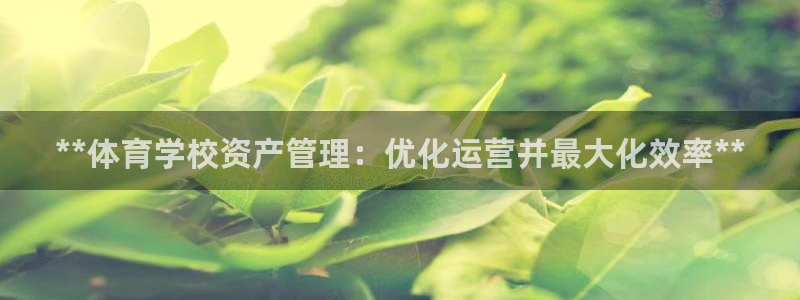 必一体育网页登陆：*