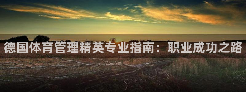 必一体育sport下