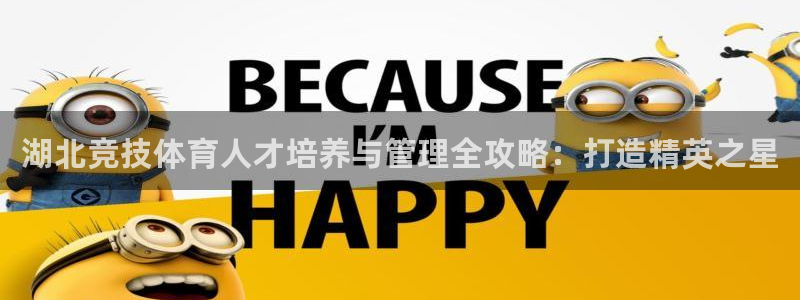 必一体育登陆：湖北竞