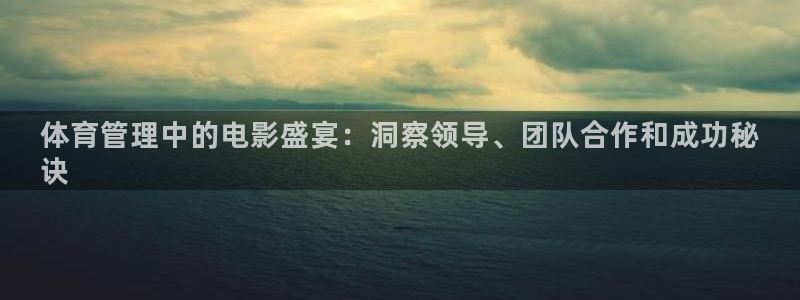 必一体育bsport