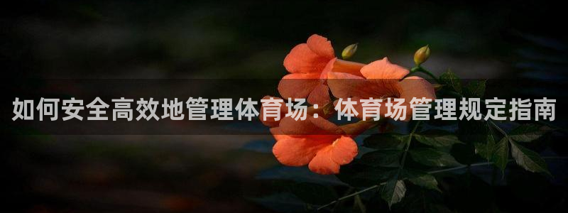 必一体育官网网址：如何安全高效地管理体育场：体育场管理规定指