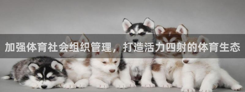 必一体育没了：加强体
