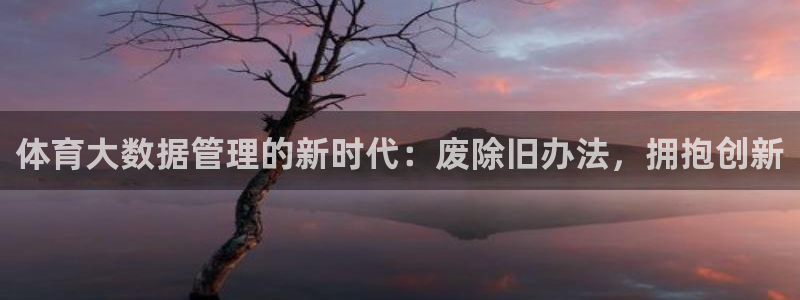 必一体育电子app：